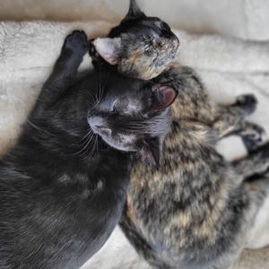 Meet your Posher, Kristopher